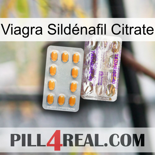 Viagra Sildénafil Citrate new12.jpg